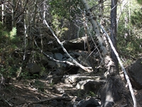 rrente Quarantore-20110911 023